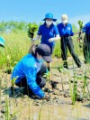 Công trình thanh niên: Trồng và chăm sóc cây xanh trên địa bàn huyện Tuy Phước