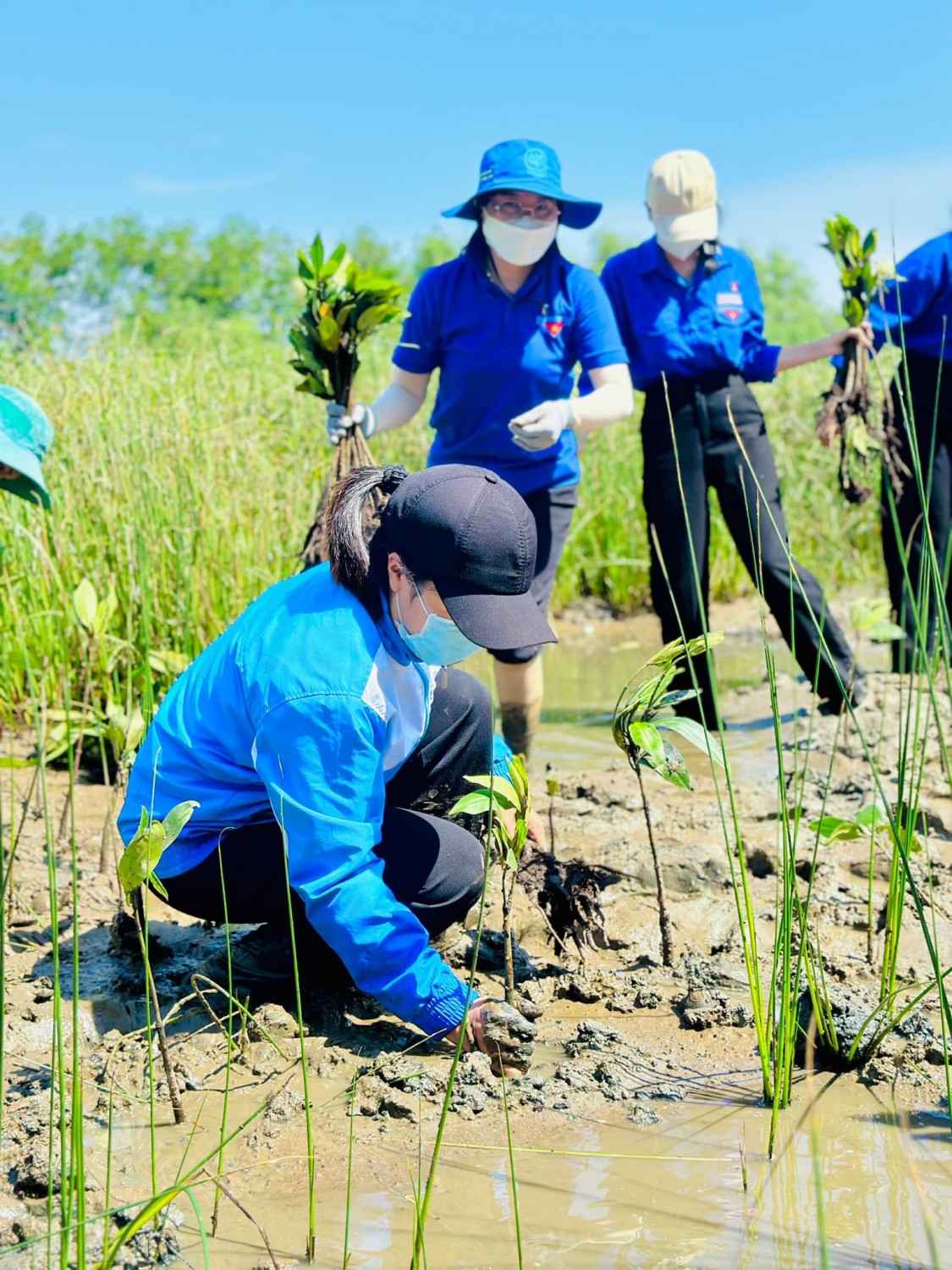 Công trình thanh niên: Trồng và chăm sóc cây xanh trên địa bàn huyện Tuy Phước
